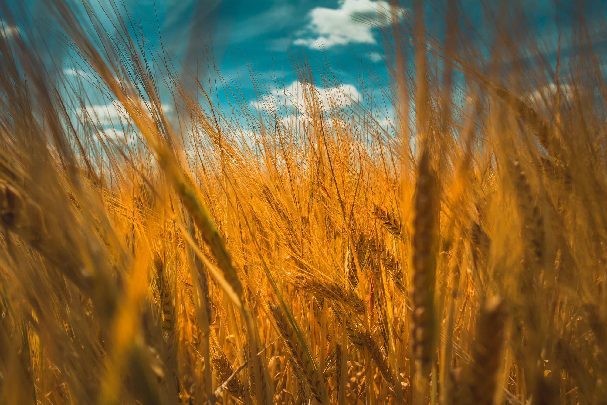 Natuur Photography